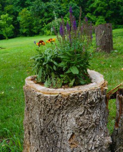 tree-stump-flower-garden-13__605