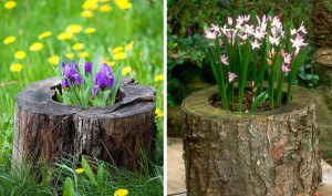 tree-stump-flower-garden-12__605