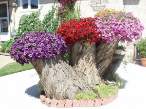 tree-stump-flower-garden-25__605