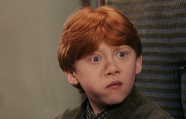 If Hermione were main characterenhanced-6255-1421068965-1