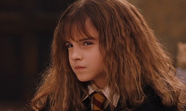 If Hermione were main characterenhanced-6257-1421068962-13