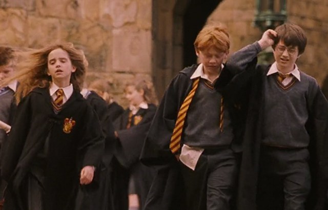 If Hermione were main characterenhanced-19163-1421071689-1