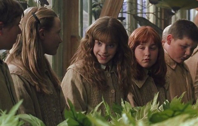 If Hermione were main characterenhanced-25844-1421075850-19