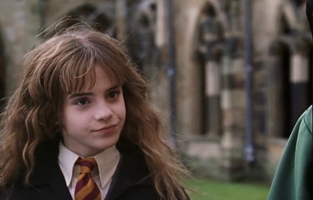 If Hermione were main characterenhanced-22018-1421075824-31