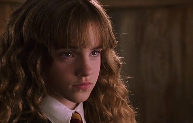 If Hermione were main characterenhanced-20426-1421075821-18