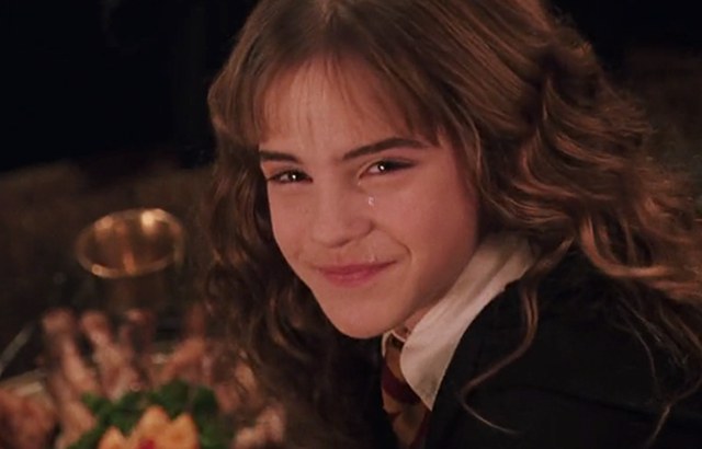 If Hermione were main characterenhanced-752-1421322282-2