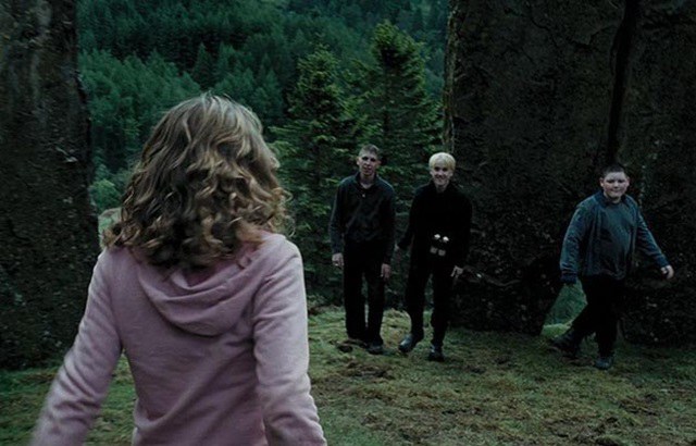 If Hermione were main characterenhanced-11815-1421335545-16