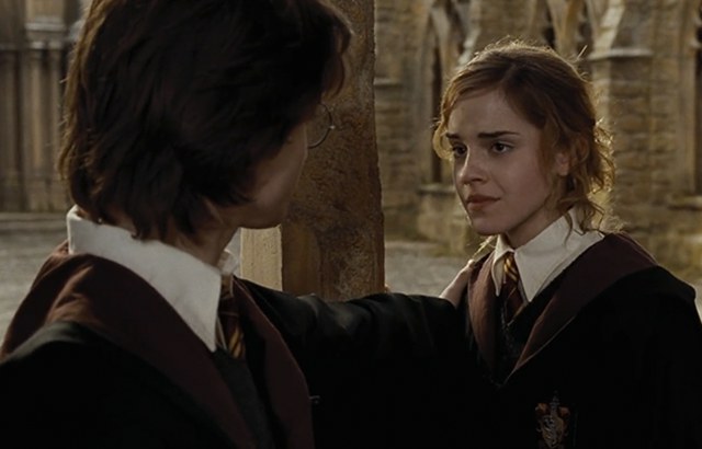 If Hermione were main characterenhanced-19029-1421349886-1