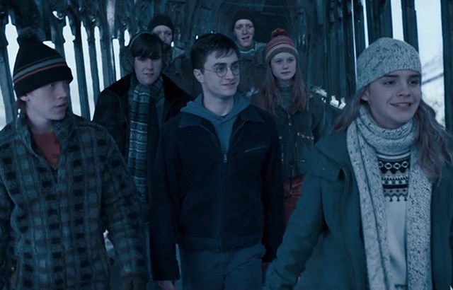 If Hermione were main characterenhanced-26150-1421351936-7