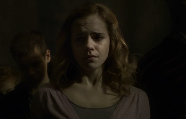 If Hermione were main characterenhanced-23332-1421370441-1