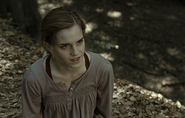 If Hermione were main characterenhanced-8067-1421371891-1