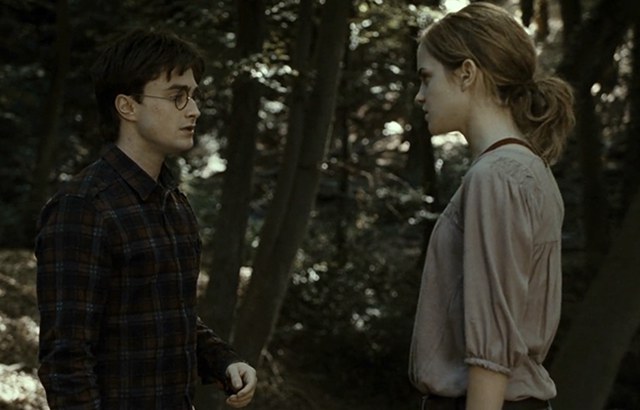 If Hermione were main characterenhanced-19749-1421371912-7