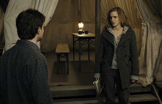 If Hermione were main characterenhanced-24969-1421372485-8