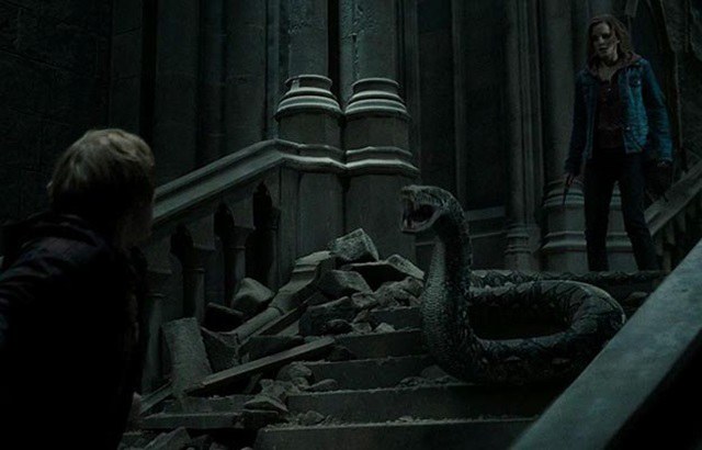 If Hermione were main characterenhanced-20017-1421405461-15