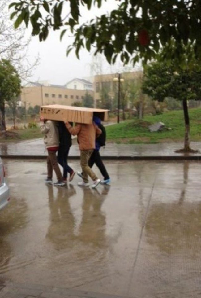 A rainy walk across campus with your friends is nothing a box cant handle