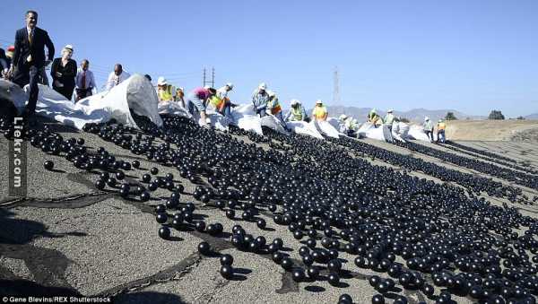 ตะลึง! รัฐแคลิฟอร์เนียผุดไอเดีย ＂ทิ้งลูกบอลสีดำ 96 ล้านลูก＂ลงแม่น้ำ แก้วิกฤตภัยแล้ง
