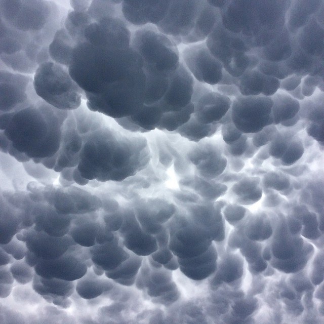 There are several types of mammatus clouds.