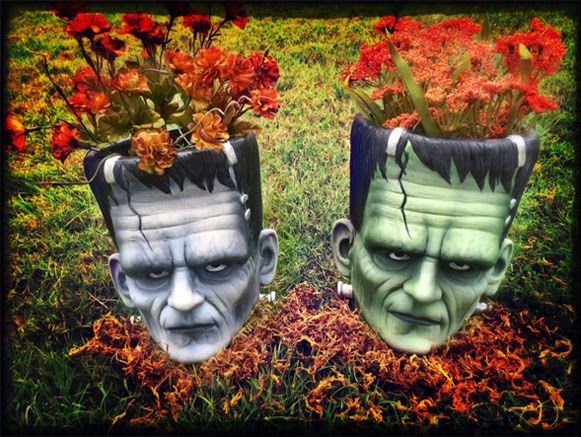 Vasos-de-Frank-bem-legaus-2