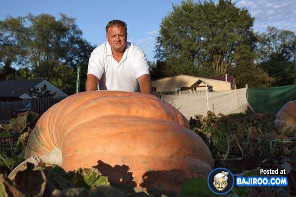 biggest-largest-giant-pumpkin-vegitable-in-world-funny-images-pictures-bajiroo-pics-photos-2