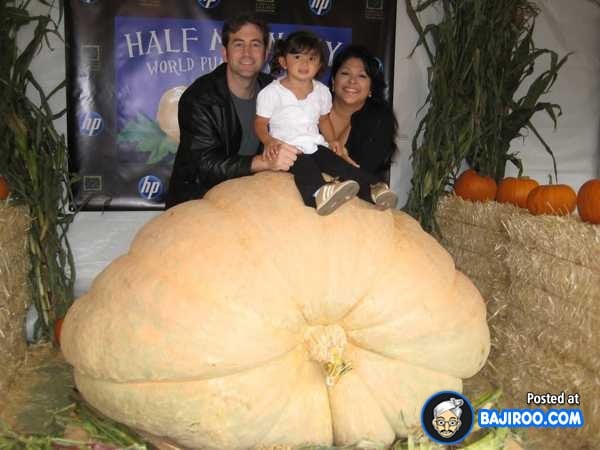 biggest-largest-giant-pumpkin-vegitable-in-world-funny-images-pictures-bajiroo-pics-photos-5