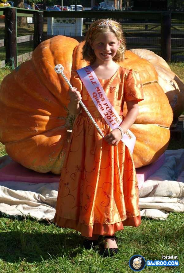 biggest-largest-giant-pumpkin-vegitable-in-world-funny-images-pictures-bajiroo-pics-photos-7