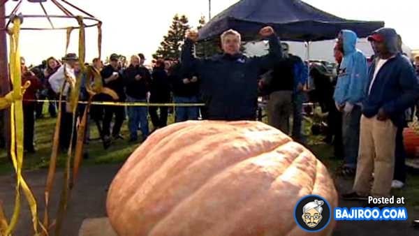 biggest-largest-giant-pumpkin-vegitable-in-world-funny-images-pictures-bajiroo-pics-photos-8