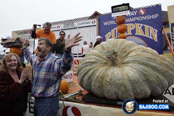 biggest-largest-giant-pumpkin-vegitable-in-world-funny-images-pictures-bajiroo-pics-photos-15