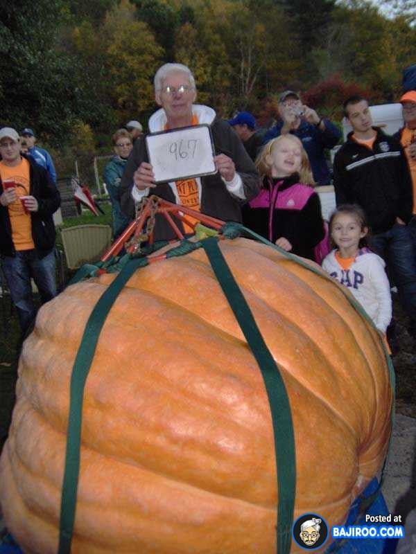 biggest-largest-giant-pumpkin-vegitable-in-world-funny-images-pictures-bajiroo-pics-photos-19