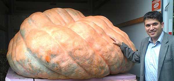 biggest-largest-giant-pumpkin-vegitable-in-world-funny-images-pictures-bajiroo-pics-photos-28