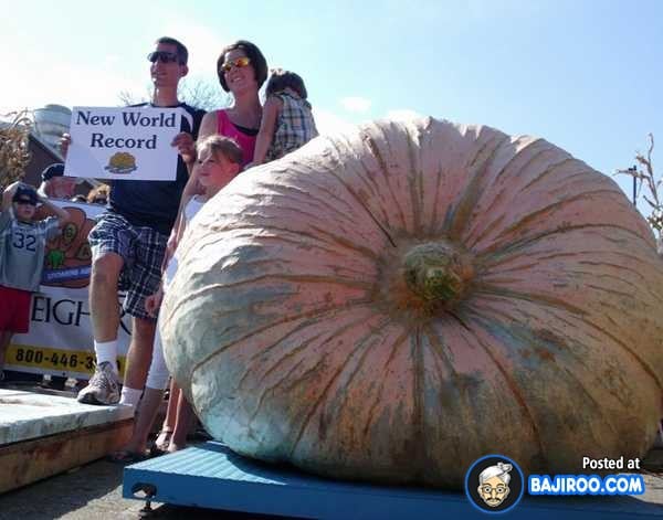 biggest-largest-giant-pumpkin-vegitable-in-world-funny-images-pictures-bajiroo-pics-photos-30