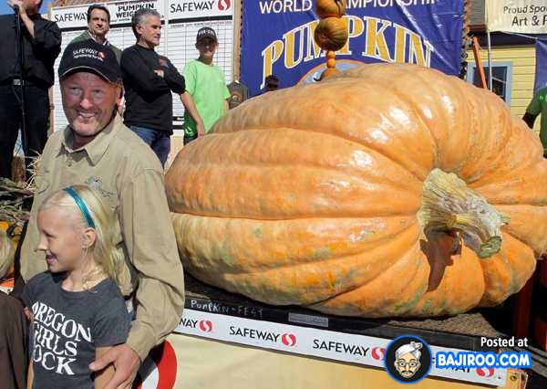 biggest-largest-giant-pumpkin-vegitable-in-world-funny-images-pictures-bajiroo-pics-photos-33.jpeg