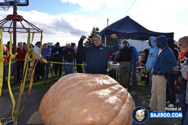 biggest-largest-giant-pumpkin-vegitable-in-world-funny-images-pictures-bajiroo-pics-photos-40