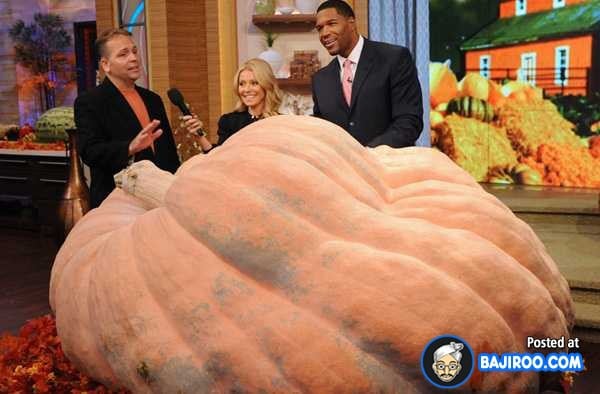 biggest-largest-pumpkin-vegitable-in-world-funny-images-pictures-bajiroo-pics-photos-1