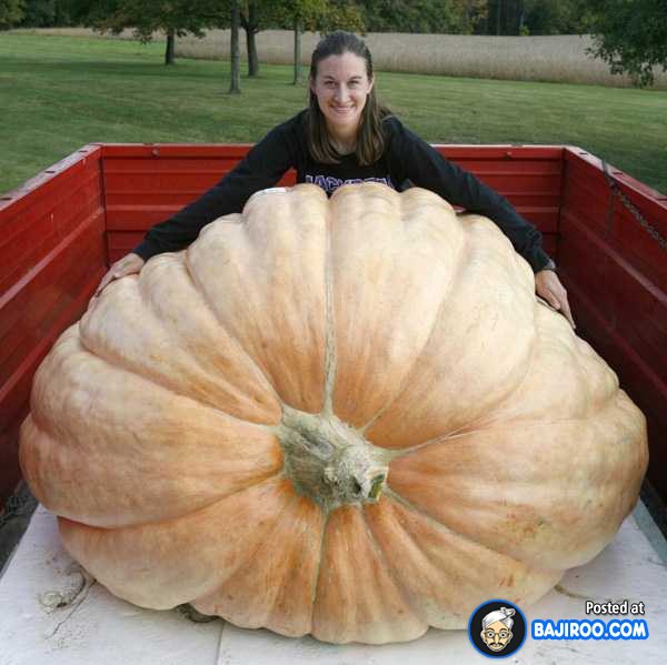 biggest-largest-pumpkin-vegitable-in-world-funny-images-pictures-bajiroo-pics-photos-2