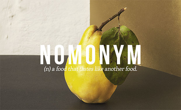 คำศัพท์เกิดใหม่ Nomonym