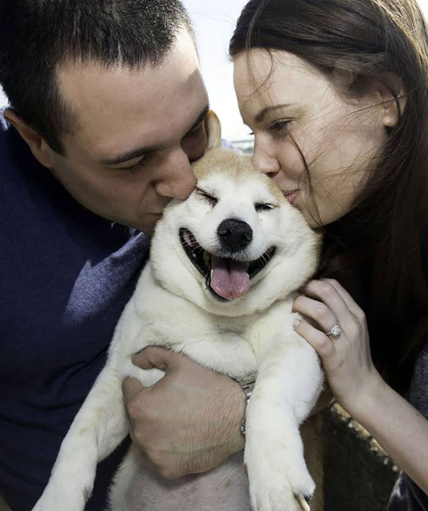 ชินนาม่อน-สุนัขที่มีความสุขที่สุดในโลก-ยิ้มได้ทุกสถานการณ์