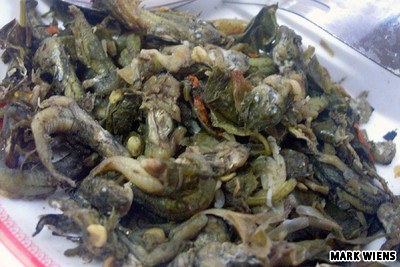 10 อันดับ เมนูอาหารไทยสุดแปลก ในสายตาชาวต่างชาติ!! บางอันคนไทยยังไม่รู้จักเลยครัช