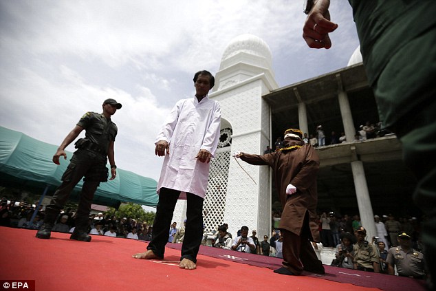 2C748CD100000578-0-image-a-41_1442576650237