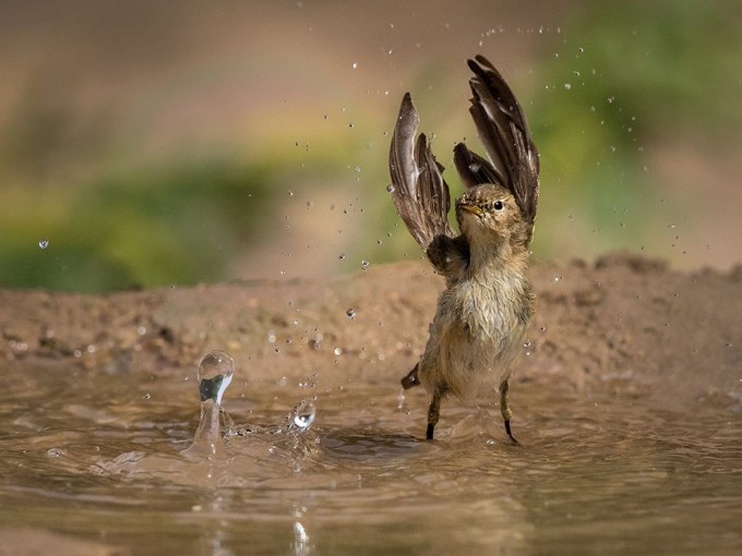 รวมสุดยอดภาพถ่าย National Geographic ในเดือนกรกฏาคม 2015