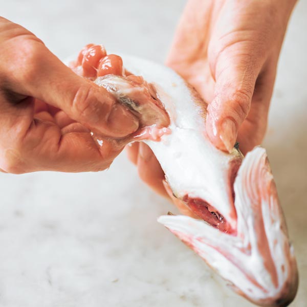 how-to-gut-clean-a-fish-step-2