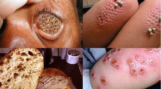 Screen Shot 2558-09-25 at 12.50.09 PM