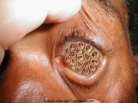 Screen Shot 2558-09-25 at 12.50.59 PM