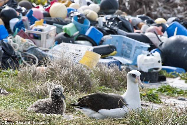 2C9DF8CA00000578-3243723-image-a-38_1442867216663