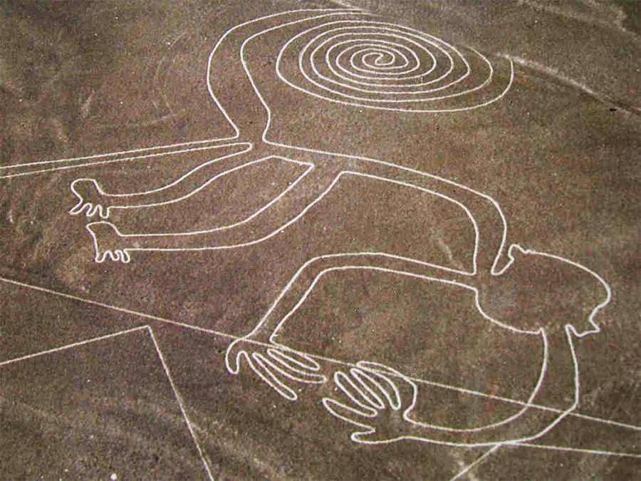 ลายเส้นปริศนานาซกา Nazca Lines
