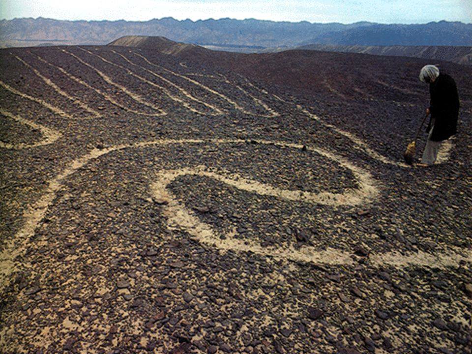 ลายเส้นปริศนานาซกา Nazca Lines