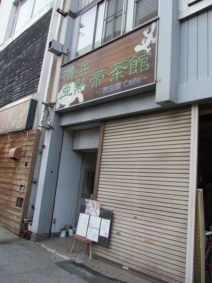 reptile-cafe-in-japan-02