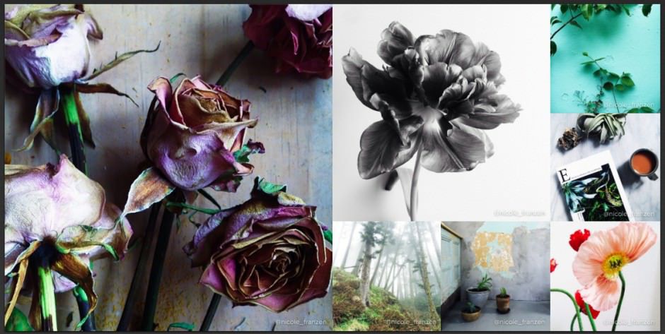 วิธีถ่ายรูป Instagram ให้สวย ดอกไม้