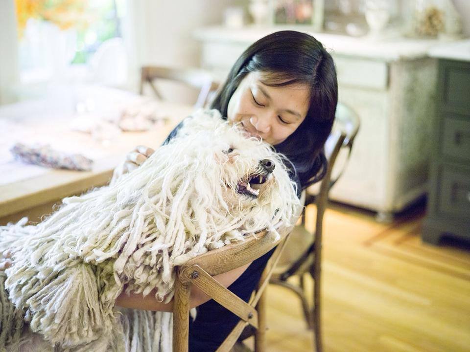 they-have-an-adorable-hungarian-sheepdog-named-beast-who-looks-like-a-tail-wagging-mop-and-even-has-his-own-facebook-page