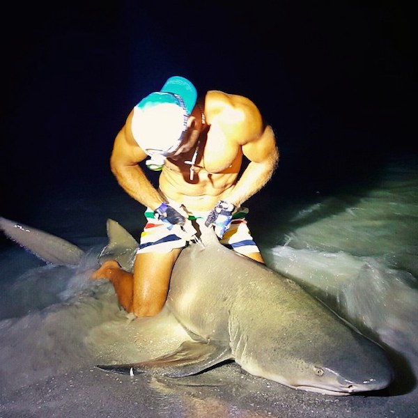 Elliot had dragged out over 88 sharks, so what is he doing with them if not hunting.