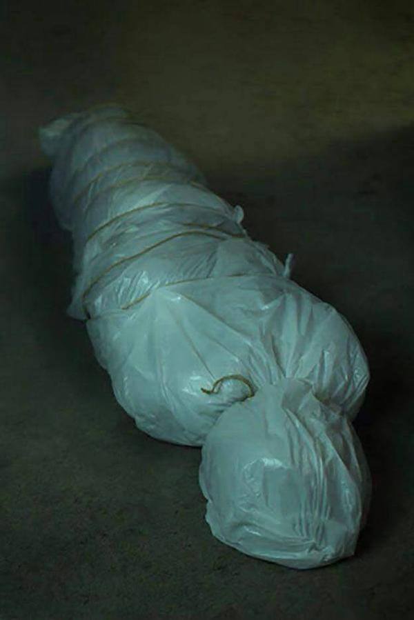 ไปต่างจังหวัดหลายวัน ทำไว้เฝ้าบ้าน แล้วทิ้งไว้ตรงห้องรับแขก